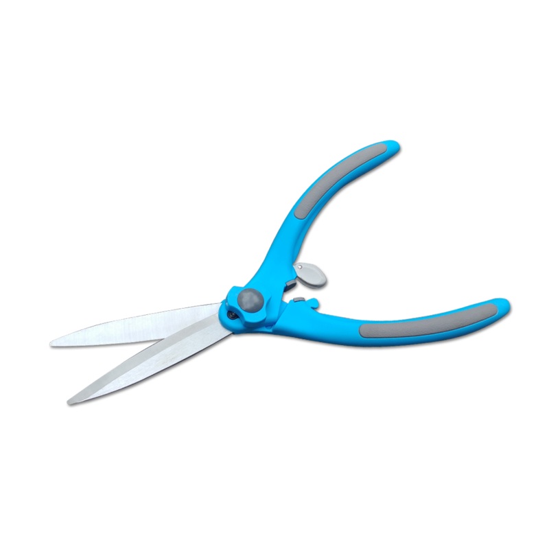 Boxwood shears