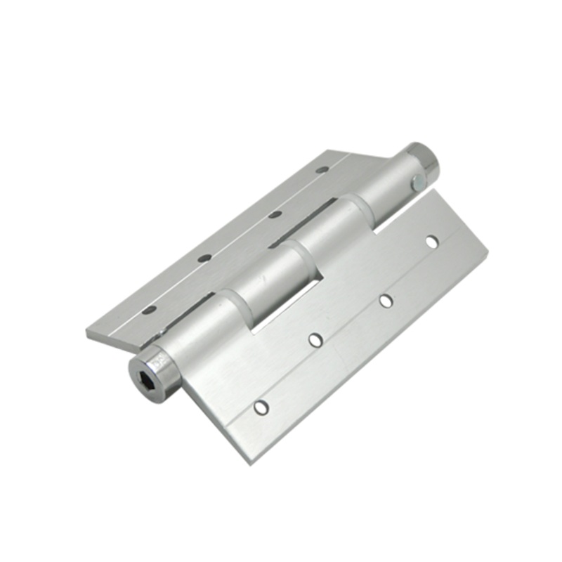 Spring hinges