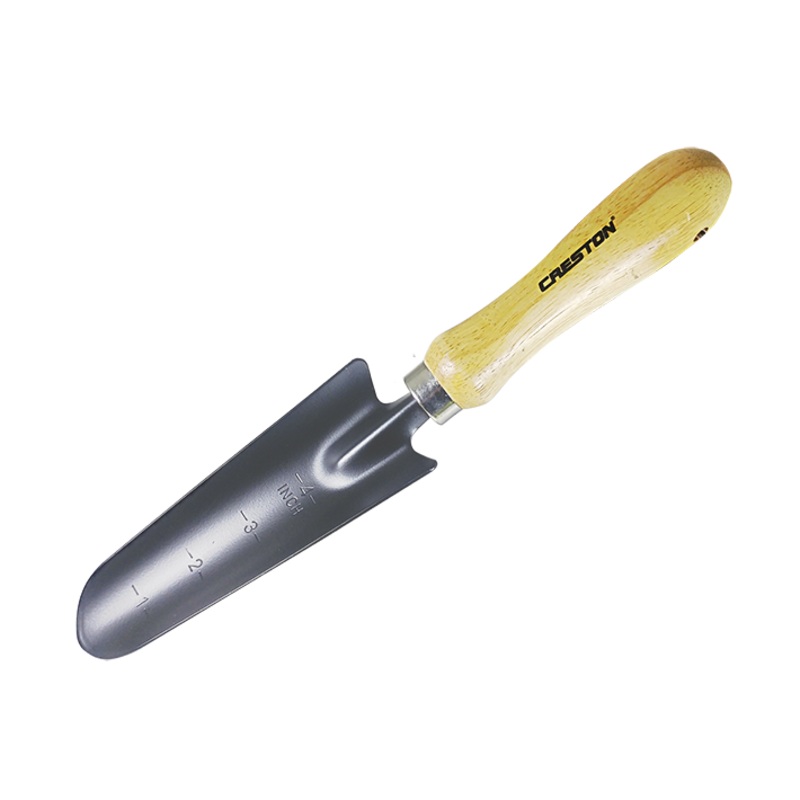 Transplanter