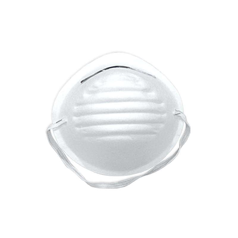 Dust mask (pack of 10)