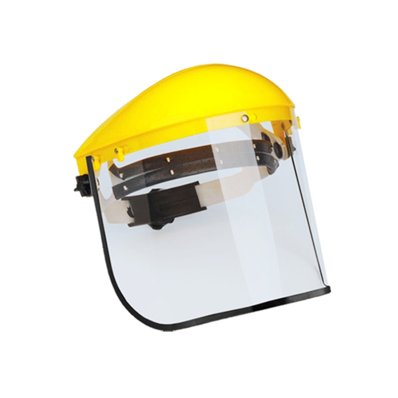 Face shield