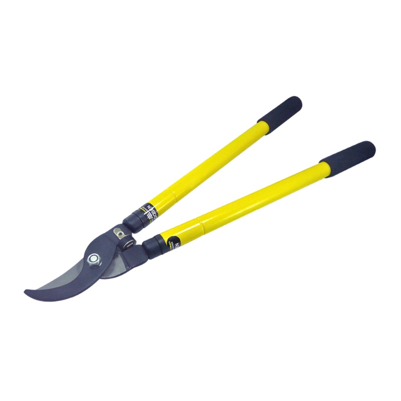 Extendable lopping shears
