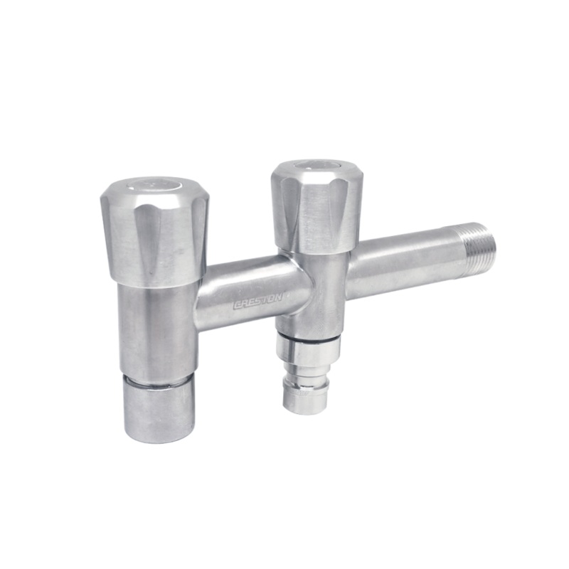 Stainless Steel Dual Faucet