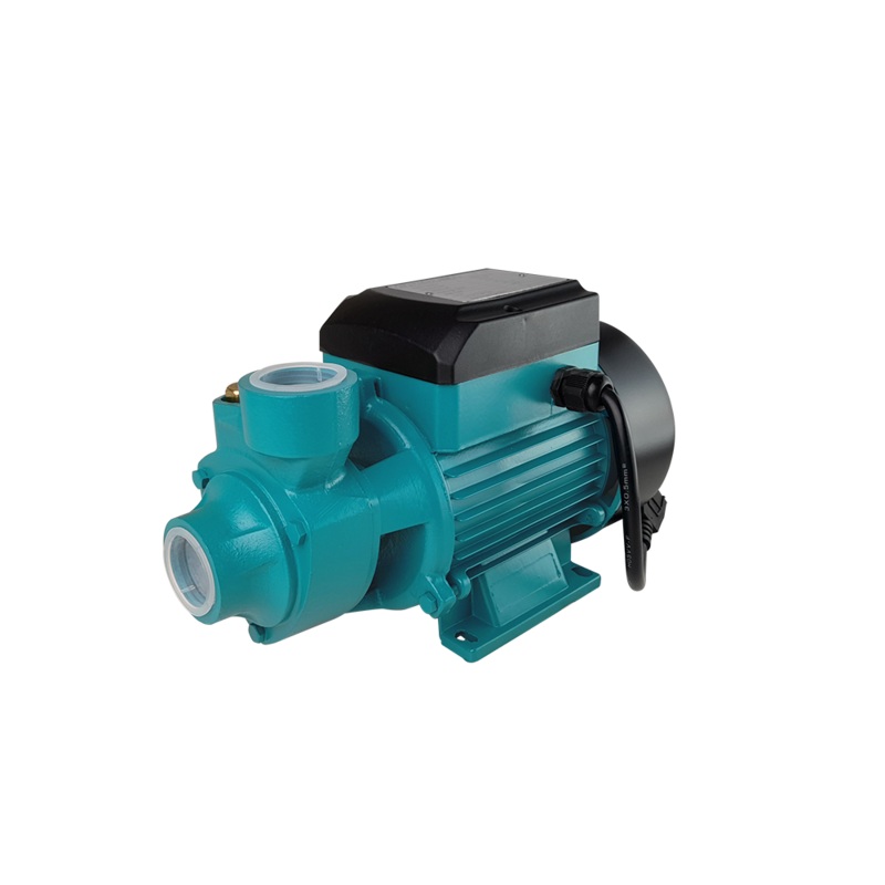 Water Pump (Shallow Well)