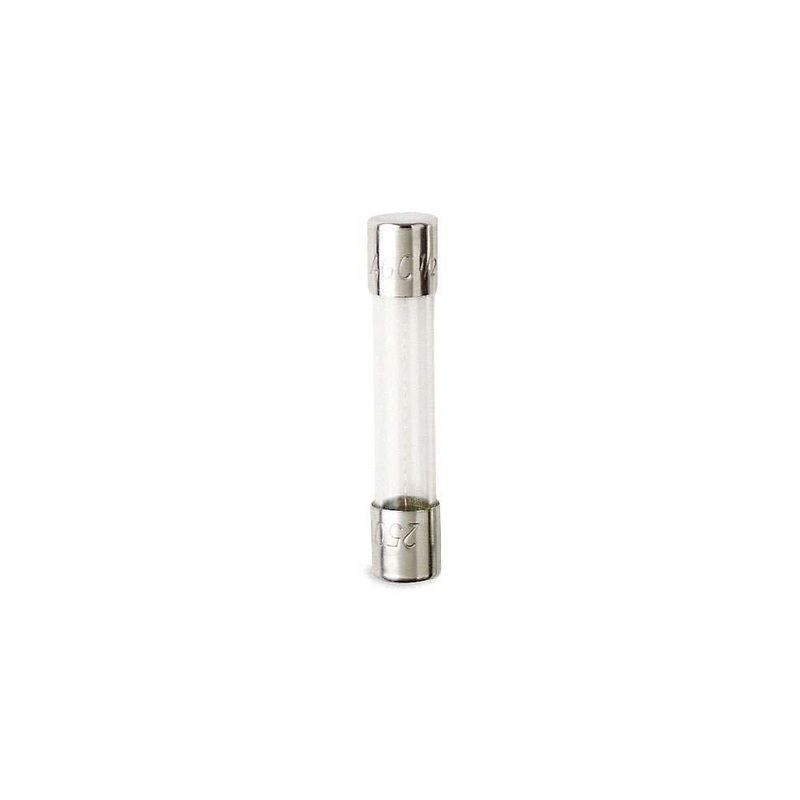 Standard Fast Acting - 1 Amp