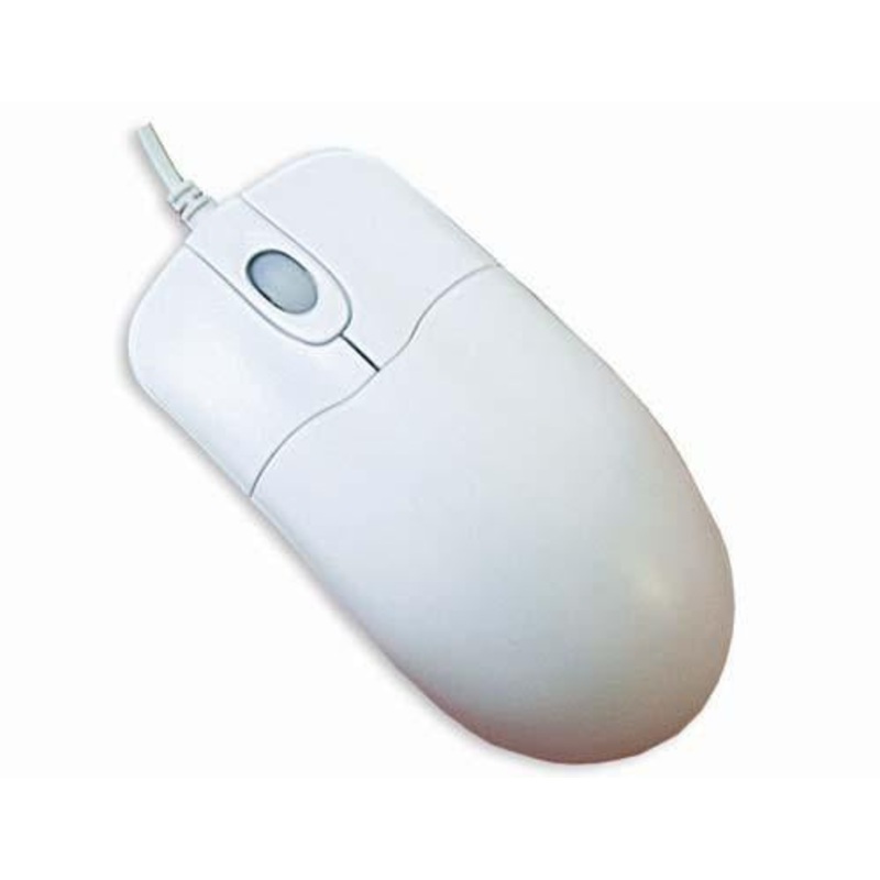 W Button plus Scroll USB and PS2 Combo