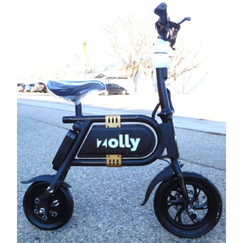 Zolly Folding Electric Bicycle (NO POWER, for repair or spare parts)